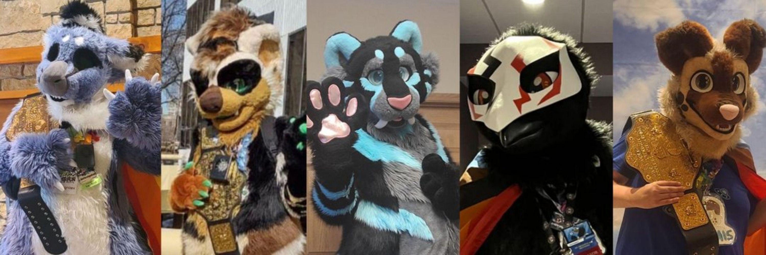 Ignitex ➡️ WI/MN/ND Furry Picnic | AC, MP, FM