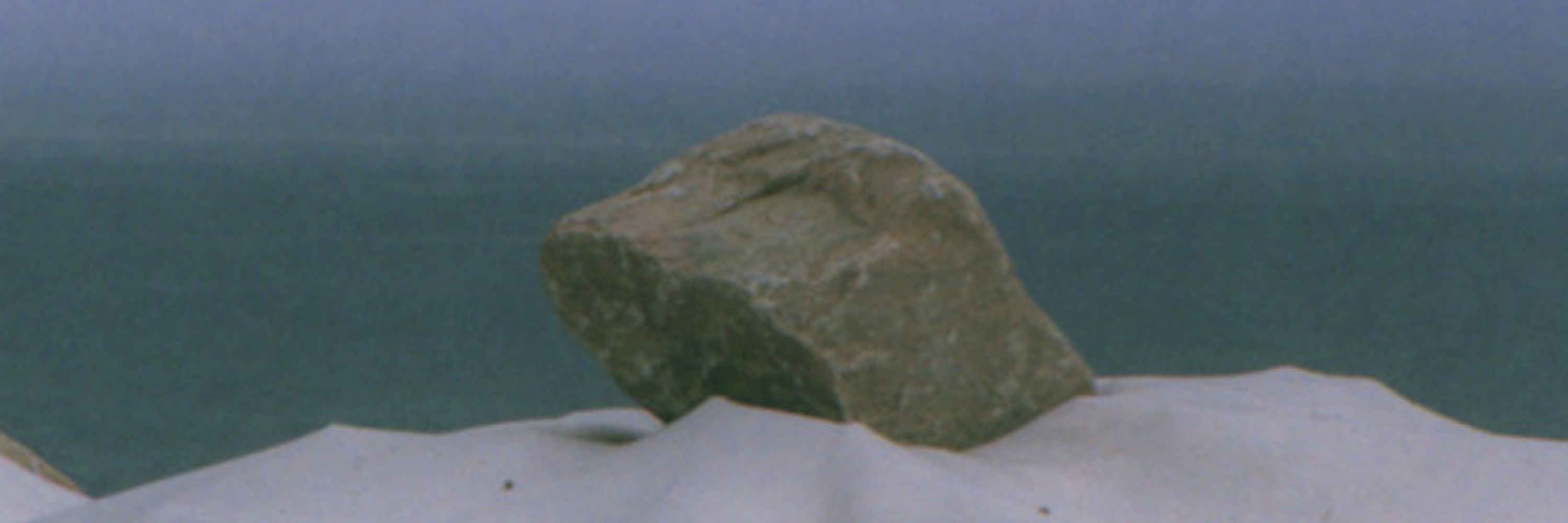 kleiner fuzzi