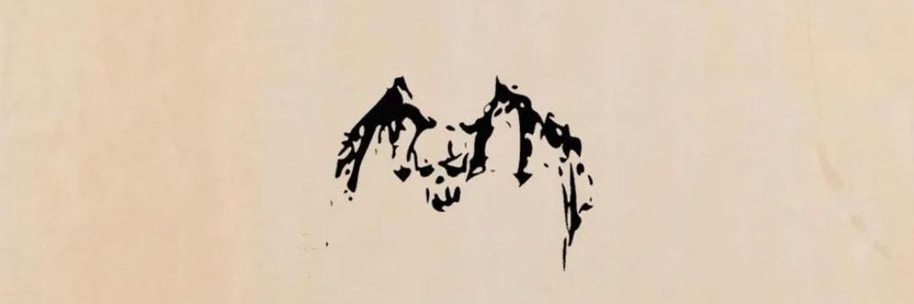 brai | 브라이 🦇