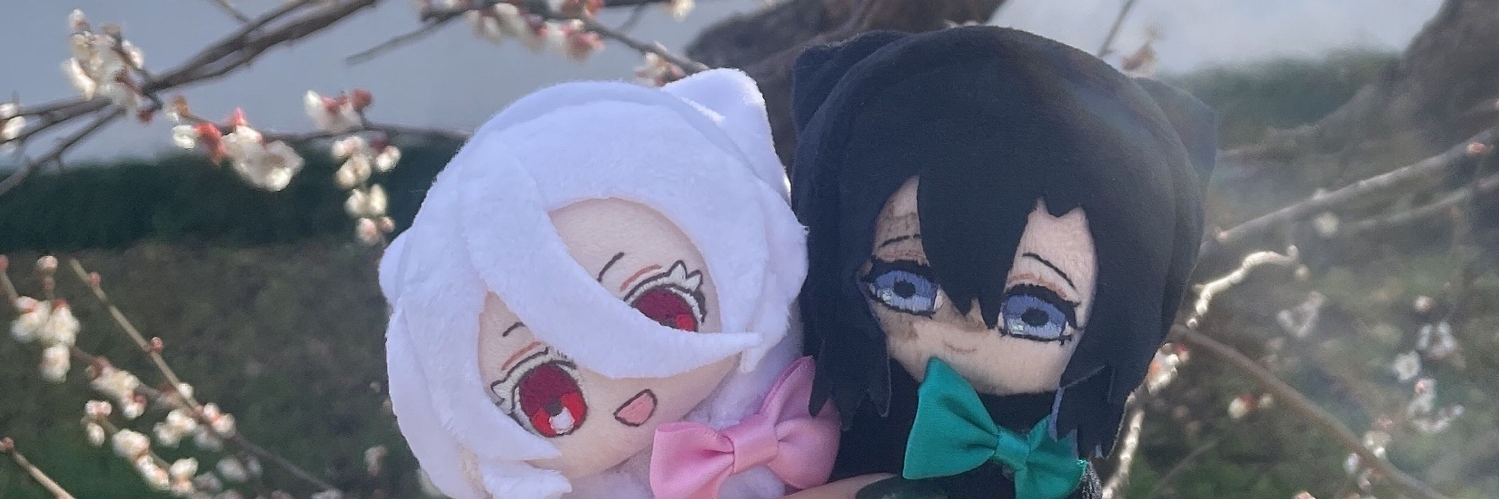 ひよ