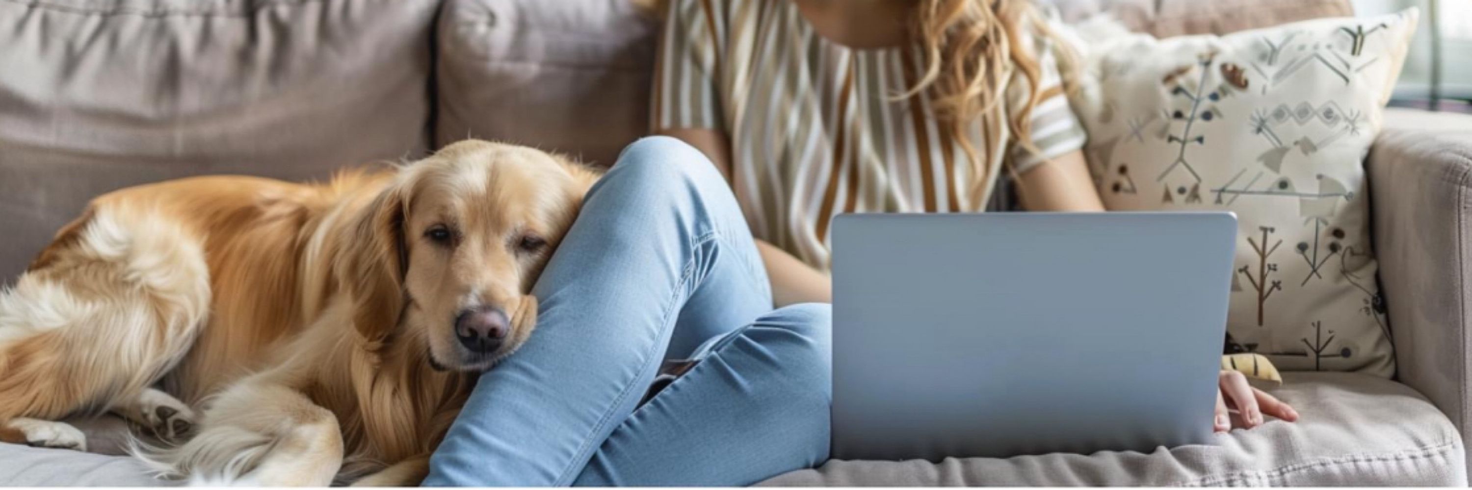 Pet Emergency Academy
