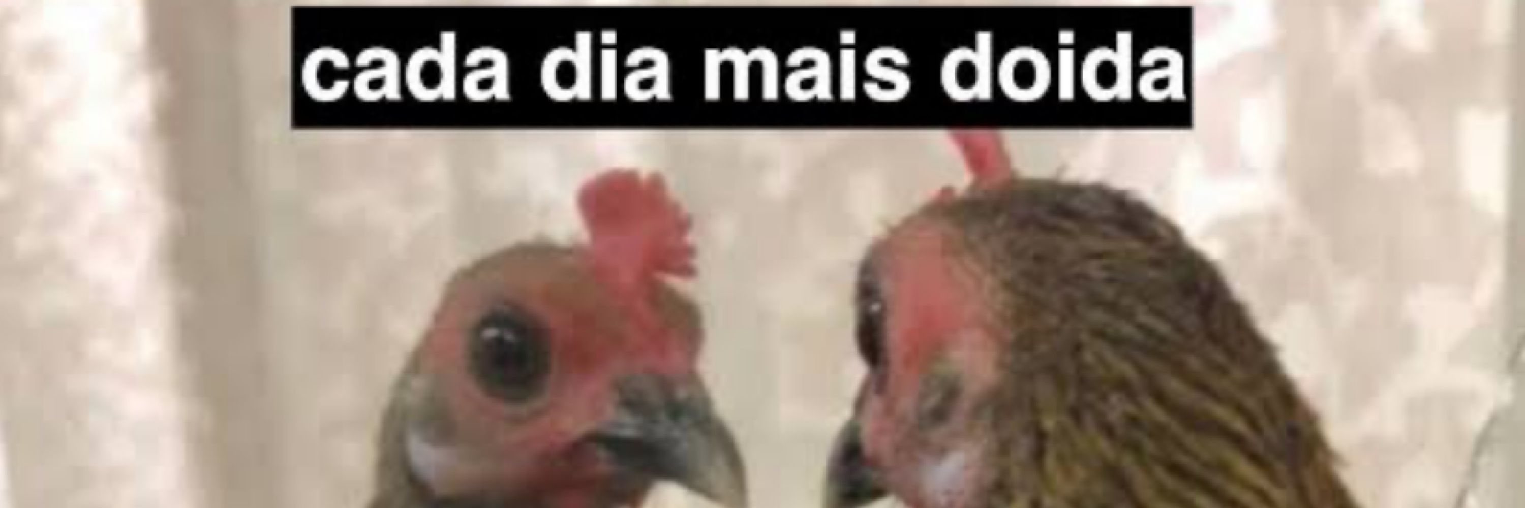 Finada nega doce do Twitter 💅🏾