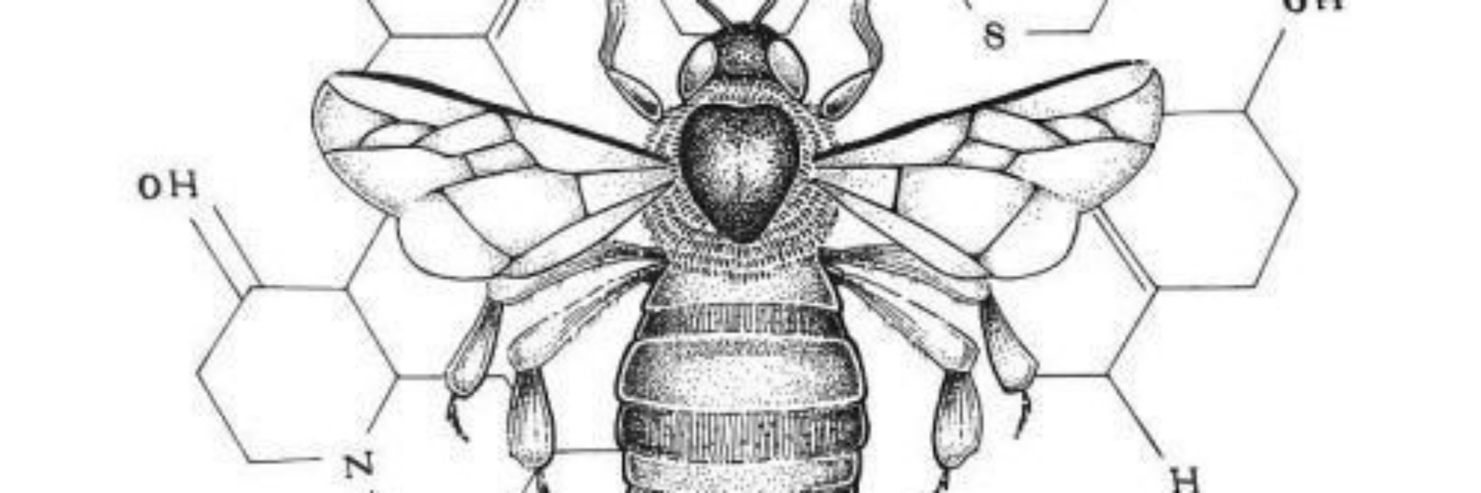 Bee🐝