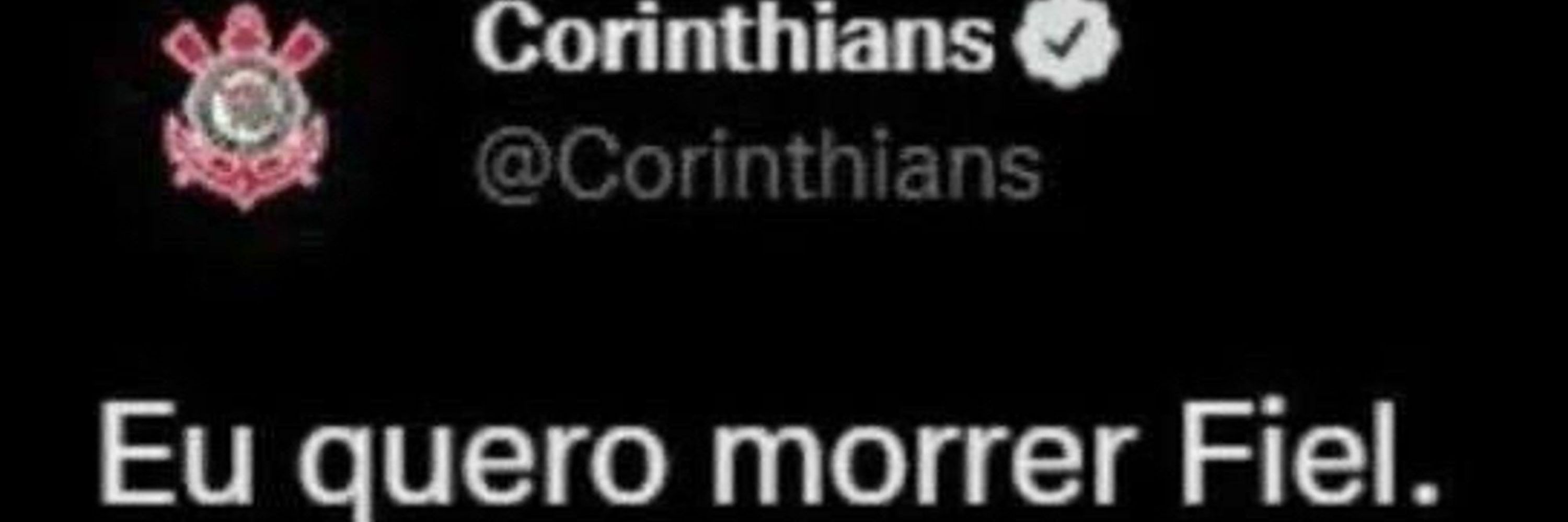 goza e dorme 