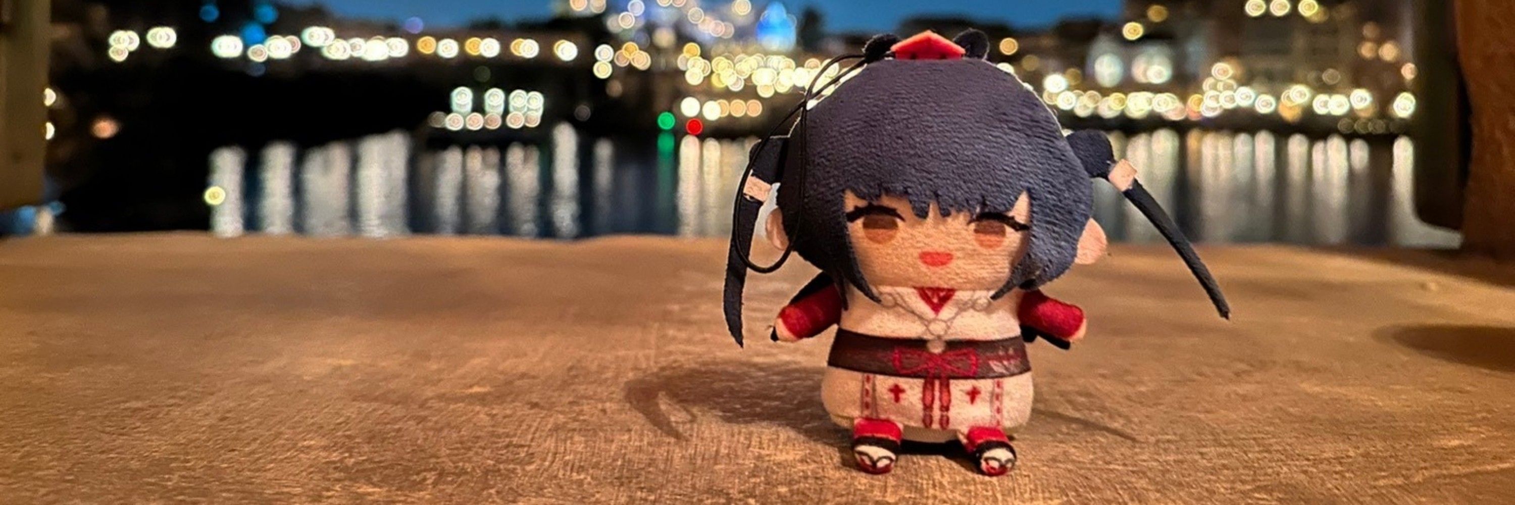 ﾘﾒﾁｬﾝ