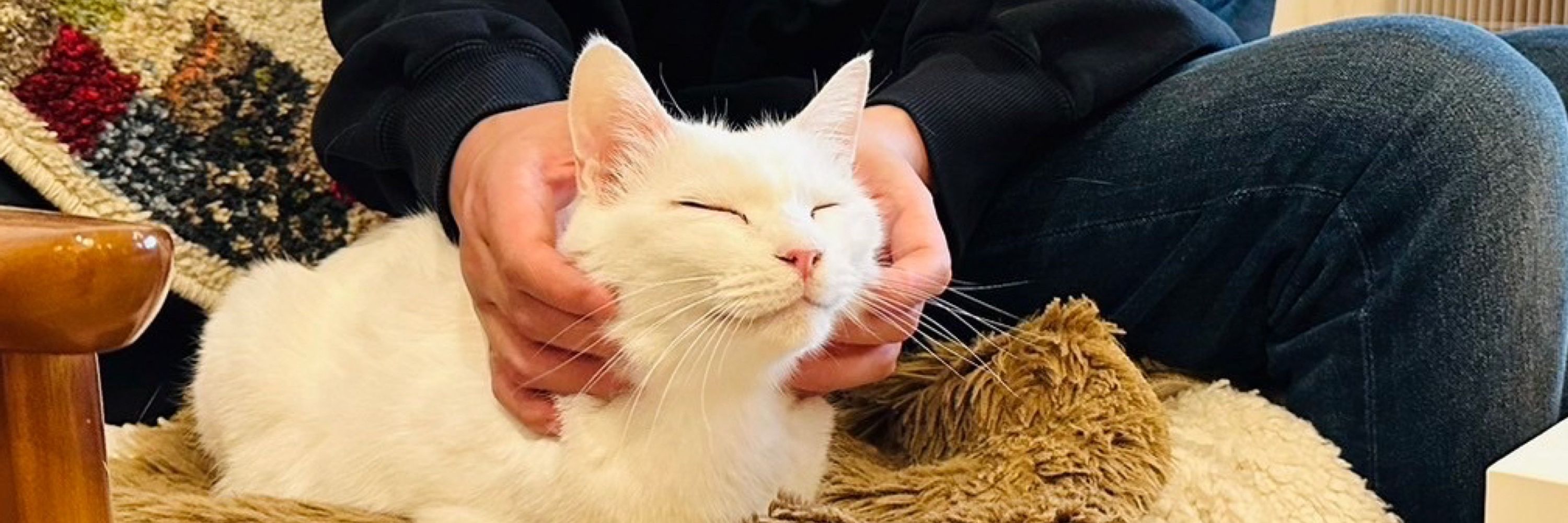 つねたろう