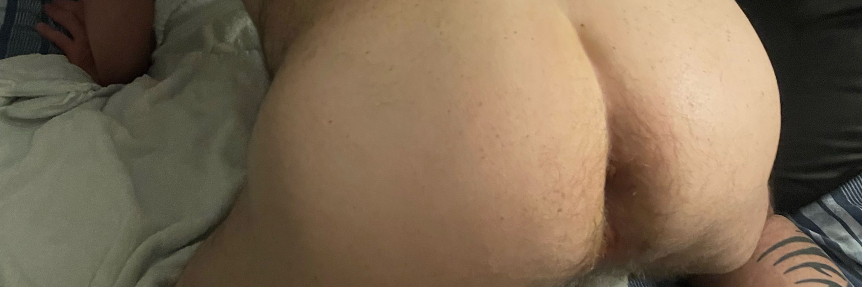 Furry Bear into fucking and fisting.