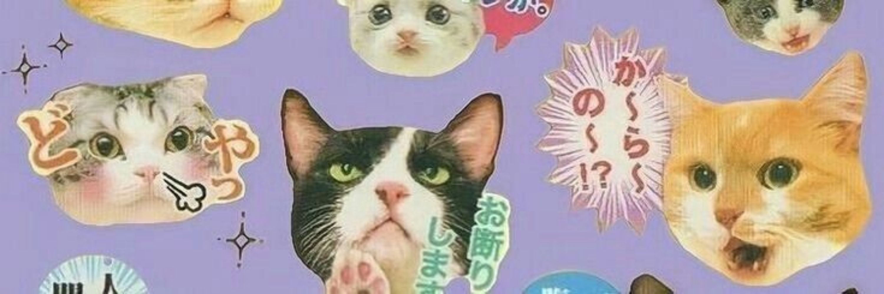le 🌸