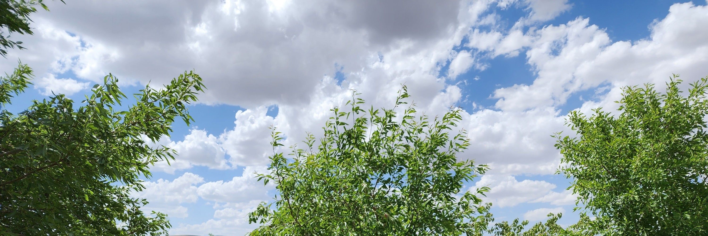 پیکی خانوم🦋