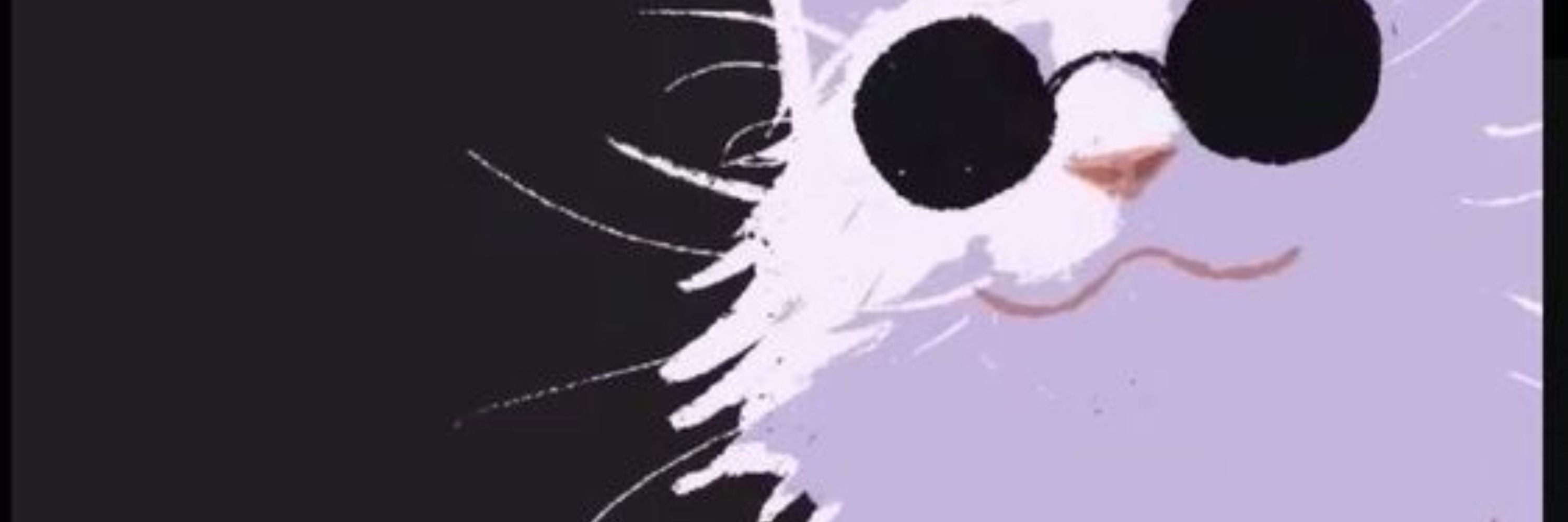 ミ★ 𝘚𝘩𝘢𝘥𝘰𝘸 ★彡