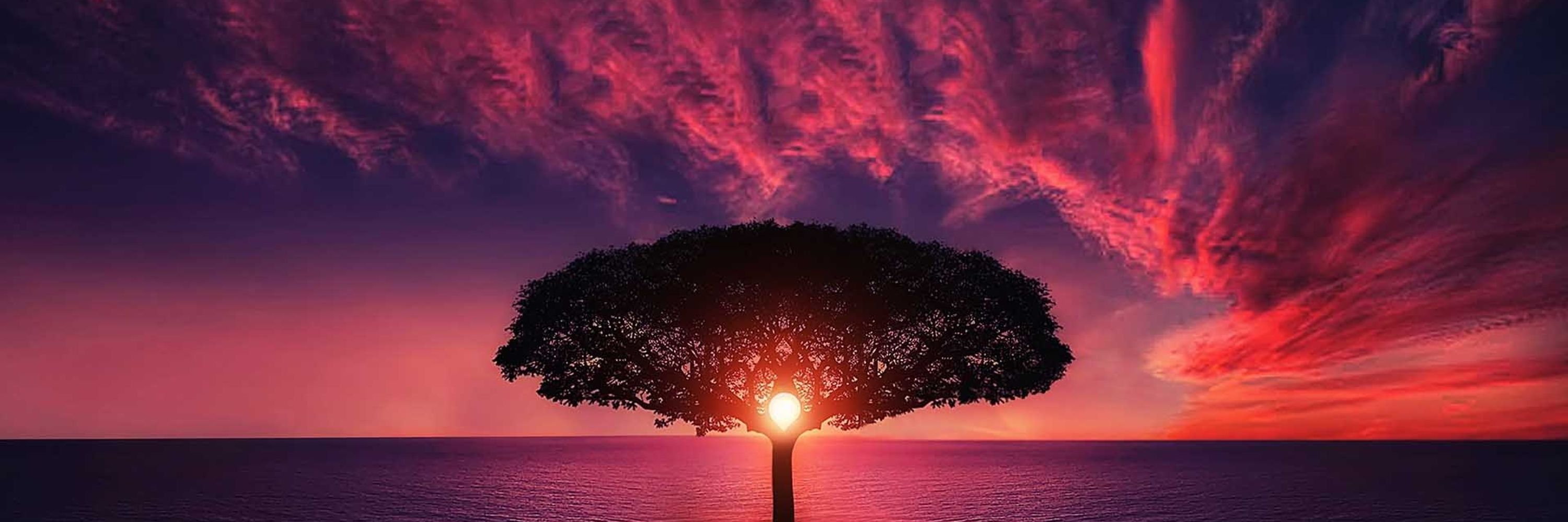 Just a Pause - Relaxing 🎶 Music