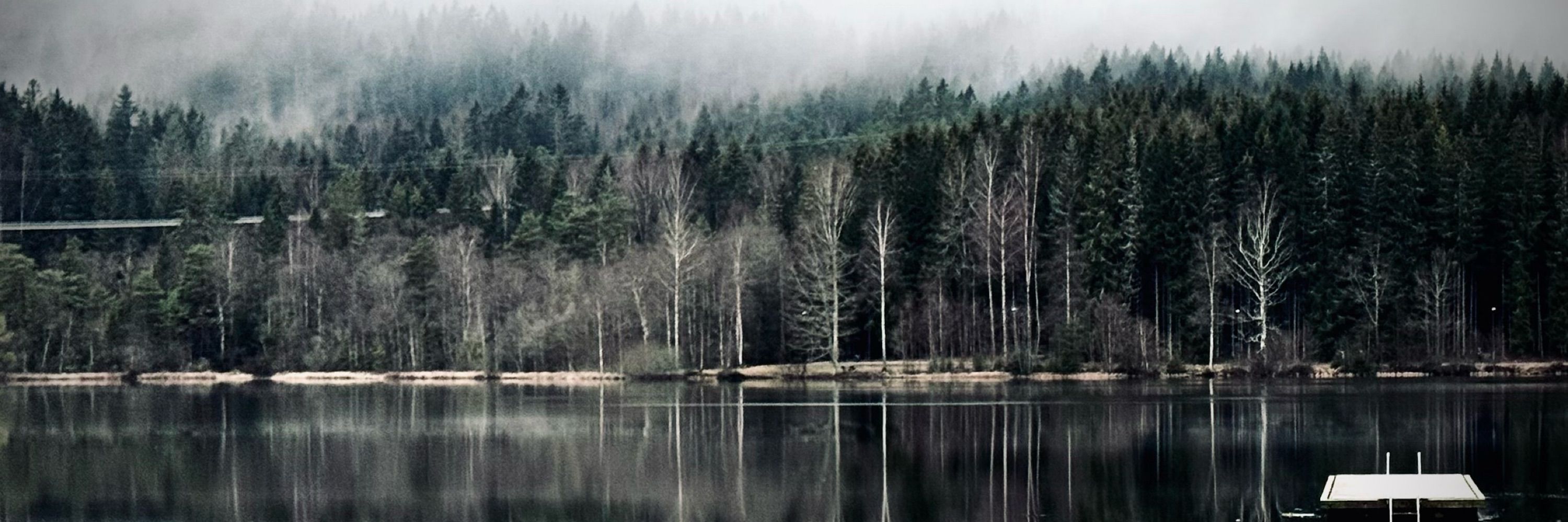 Hege Øygaren