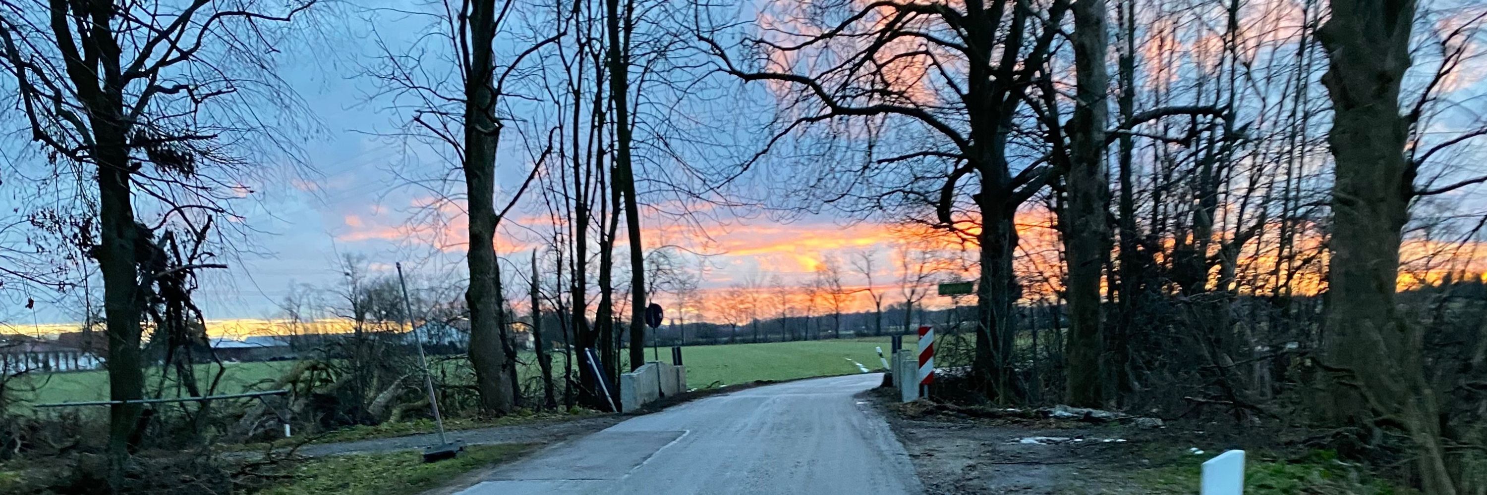 Was mit Steuern 