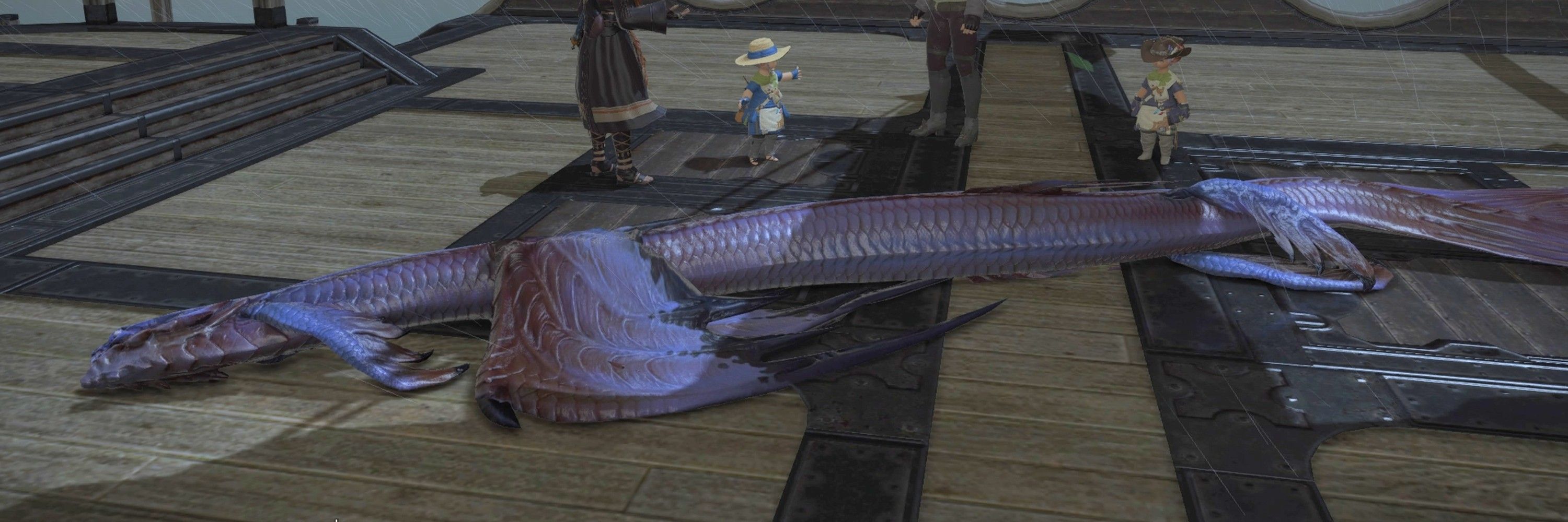 ろむ魚