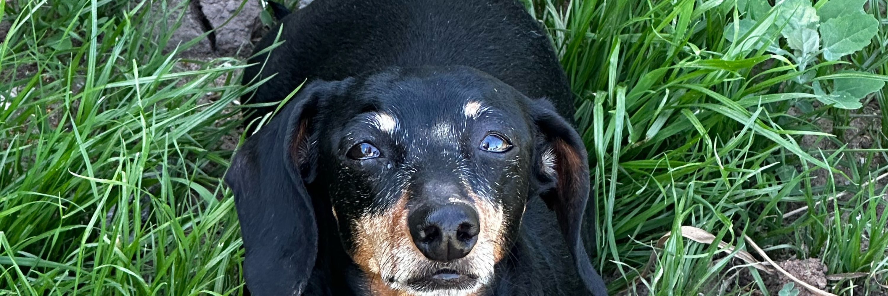 Nan