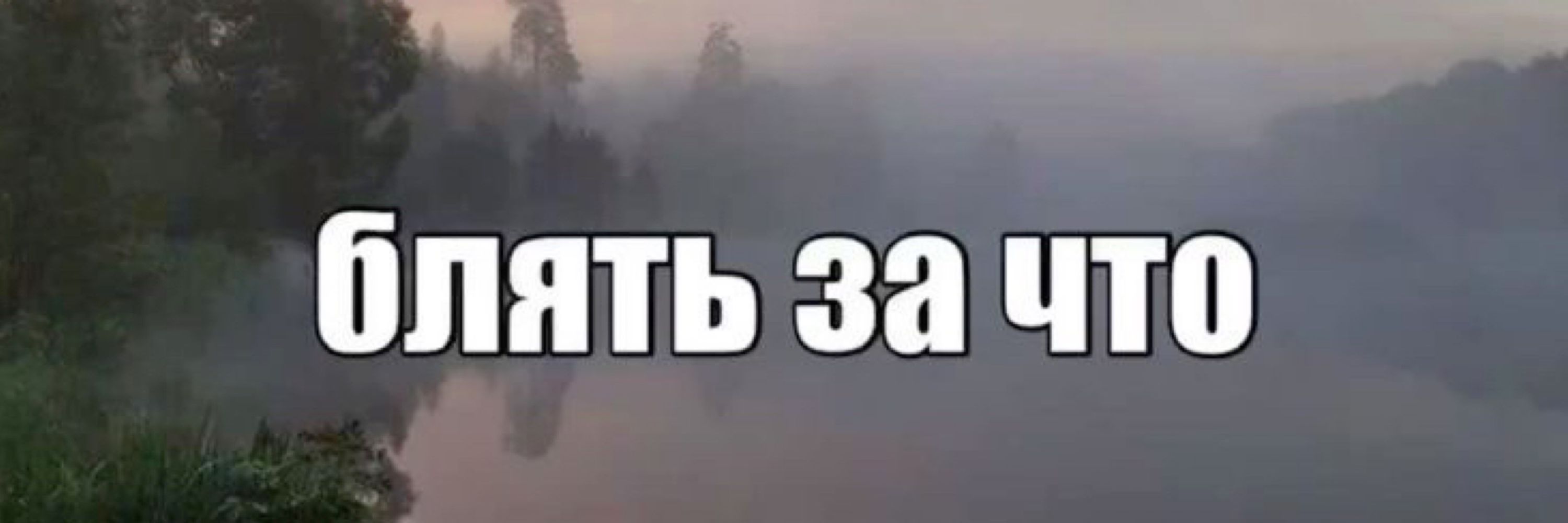ариииива 