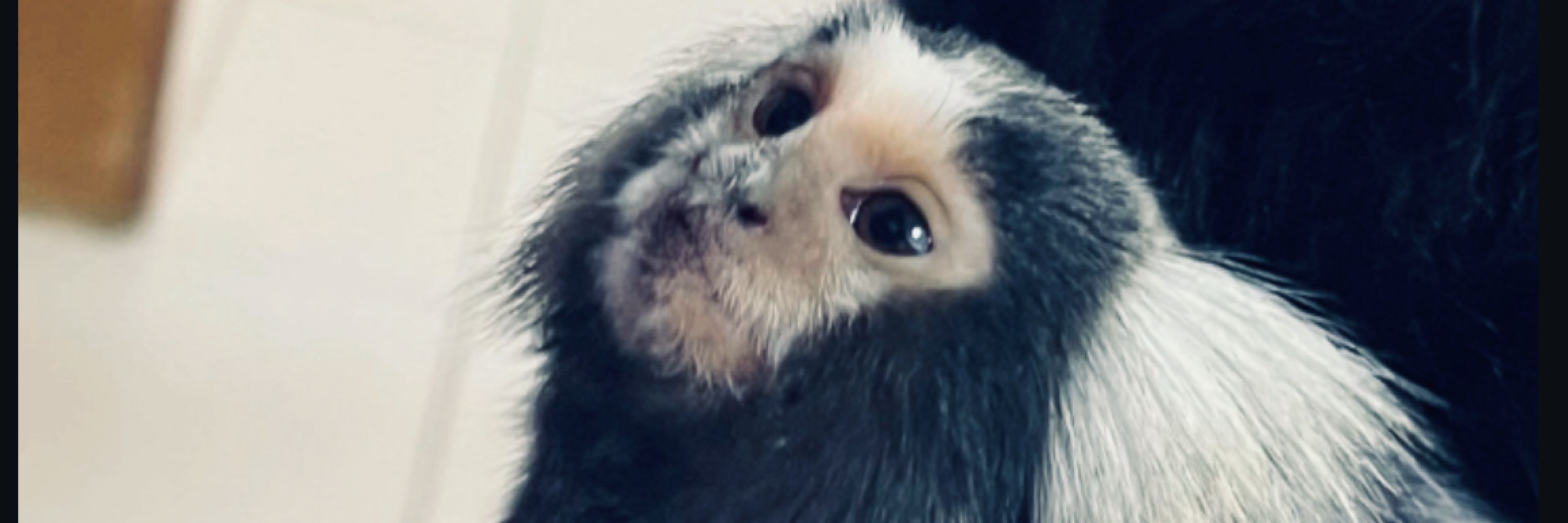 v3