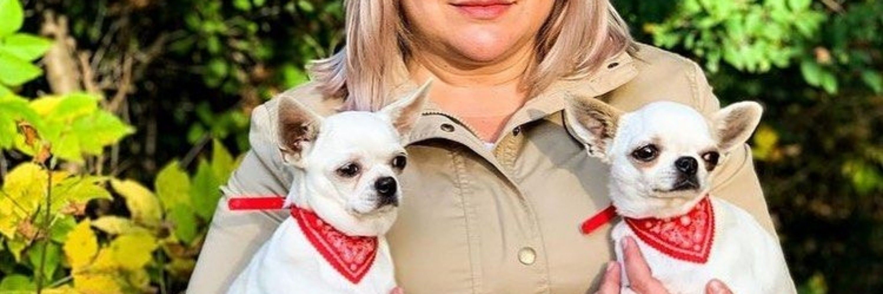 ADORABLE CHIHUAHUA PUPPIES 
