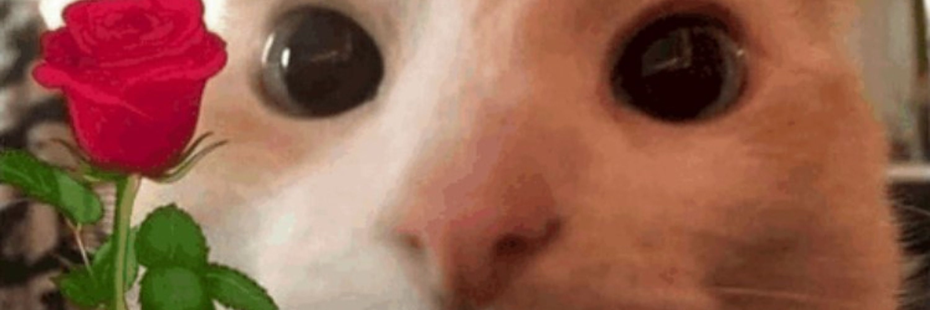 Milo