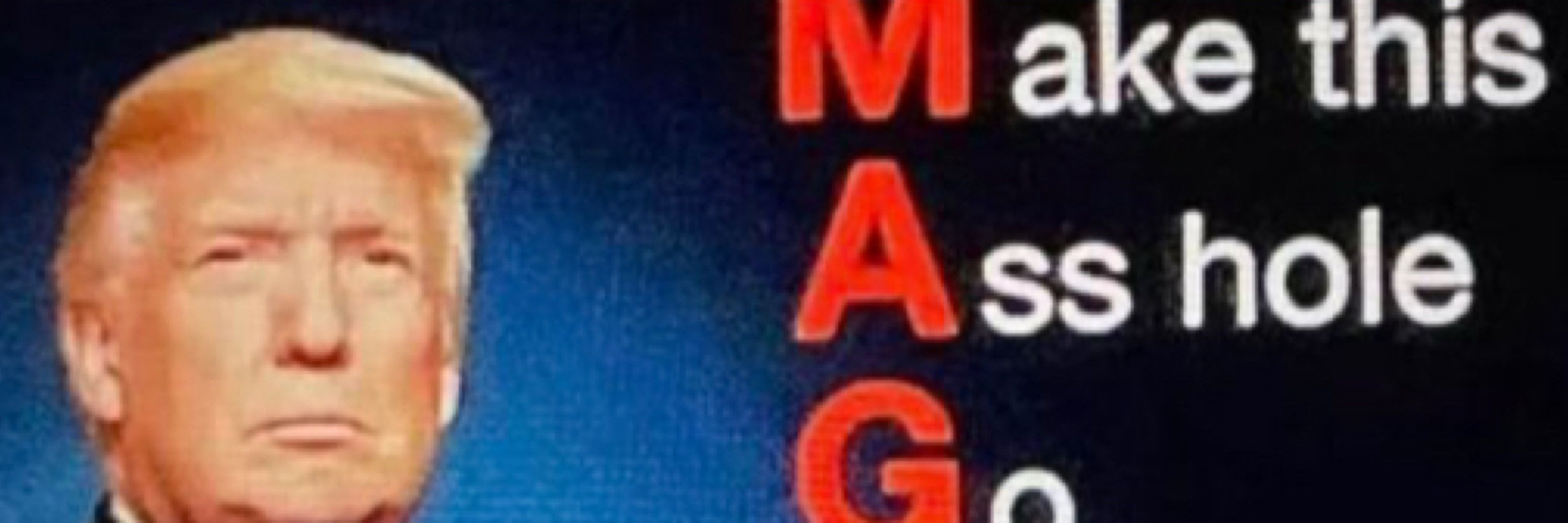 Fvck MAGA Trump RESIST💙🏳️‍🌈🌊🌈
