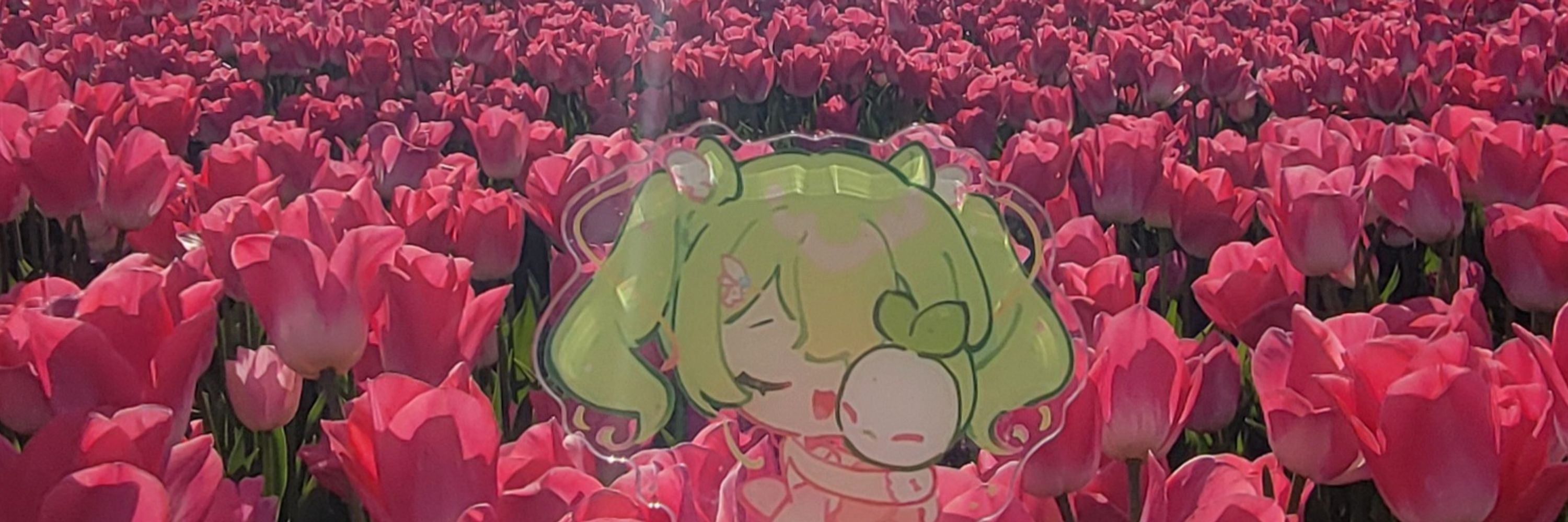 564