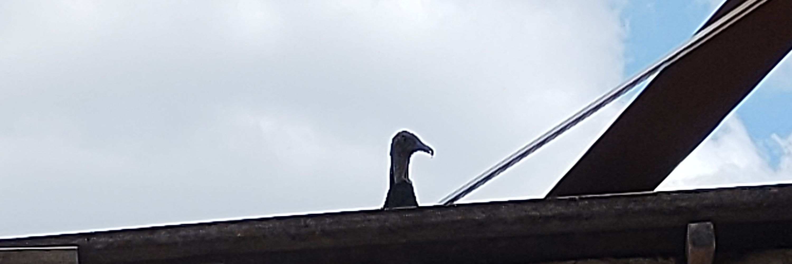 rodrigo