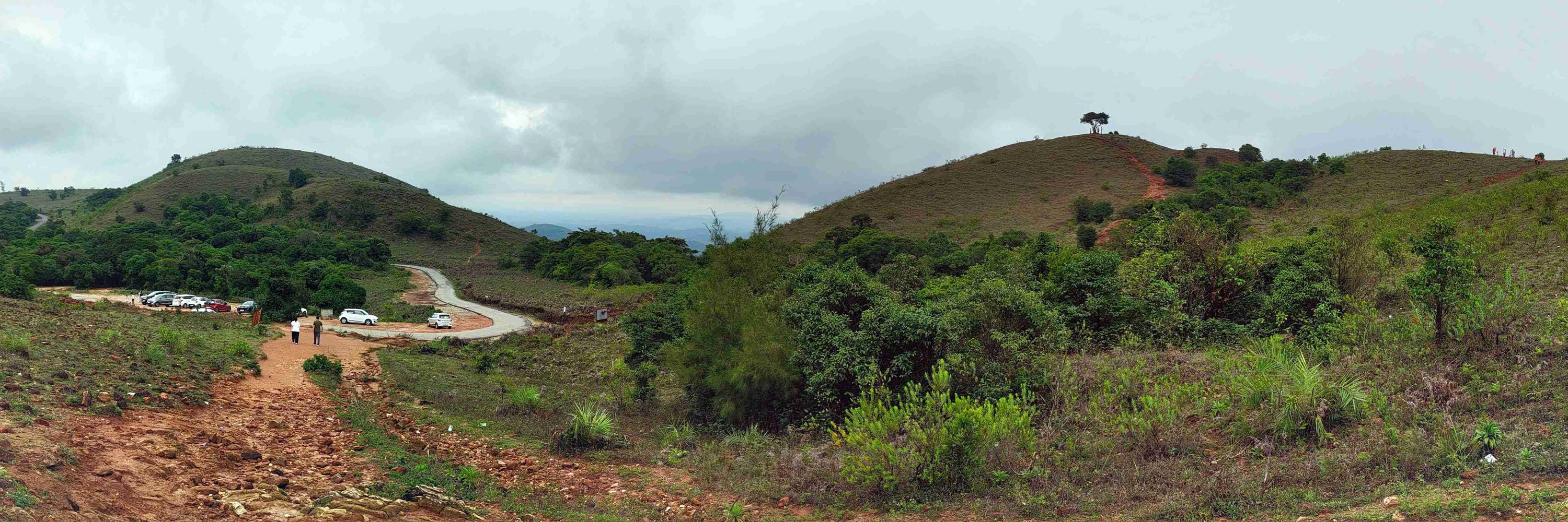 V Sridhar