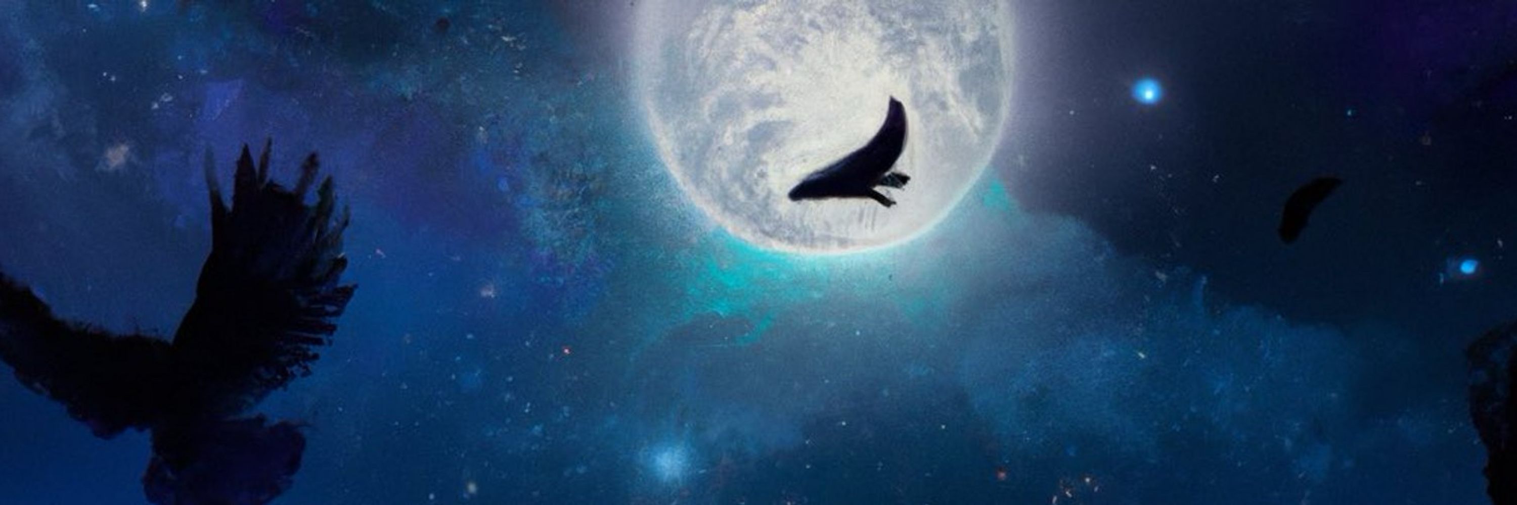 Shadow Nevermore 