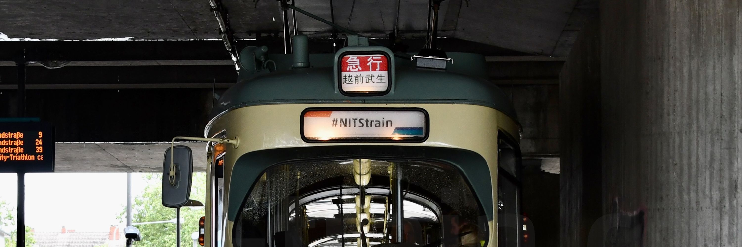ドイツのしゅう🇩🇪(NITStrain)