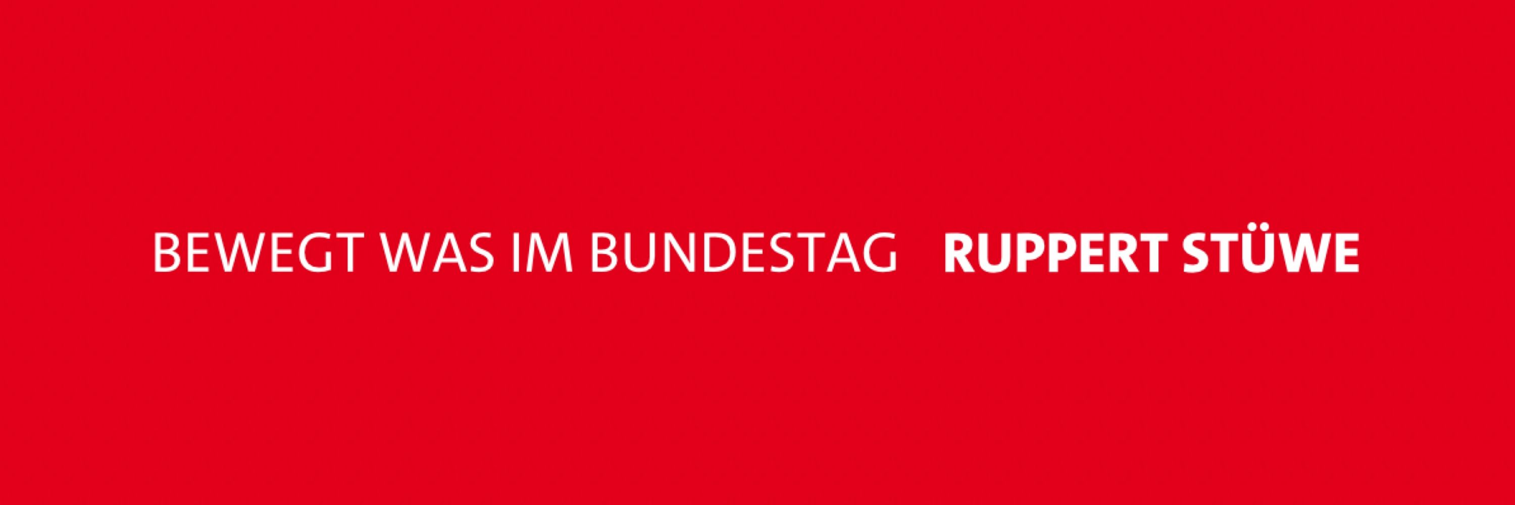 Ruppert Stüwe, MdB