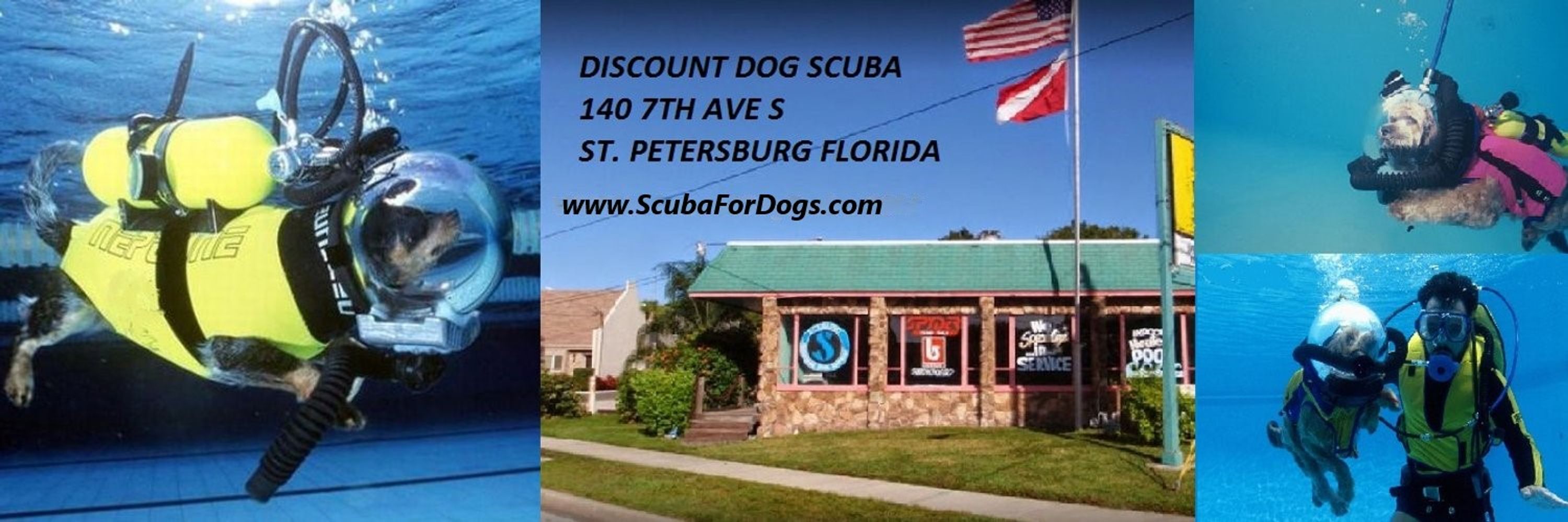 Discount Dog Scuba