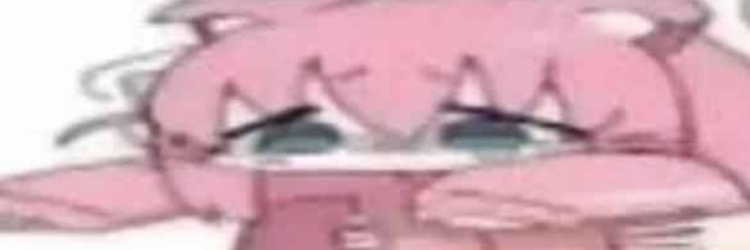 Jojo :3
