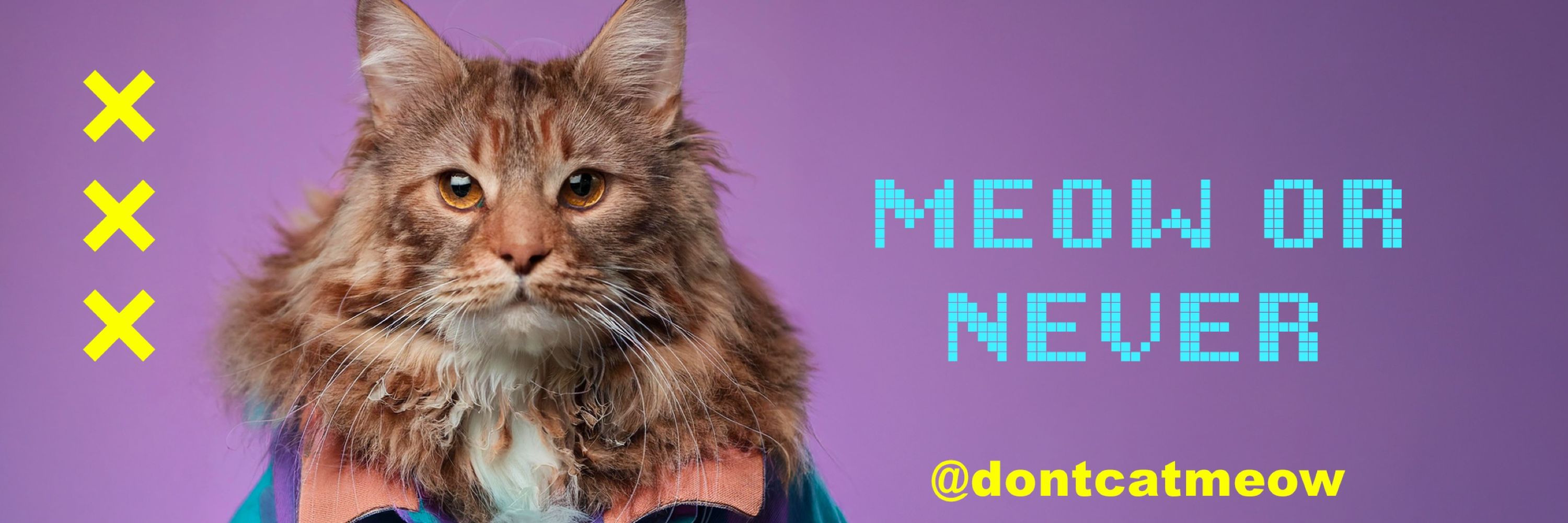 Don’t Cat Meow