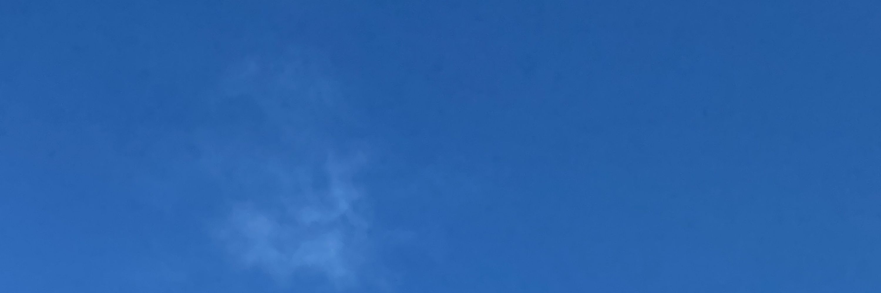 きつねと