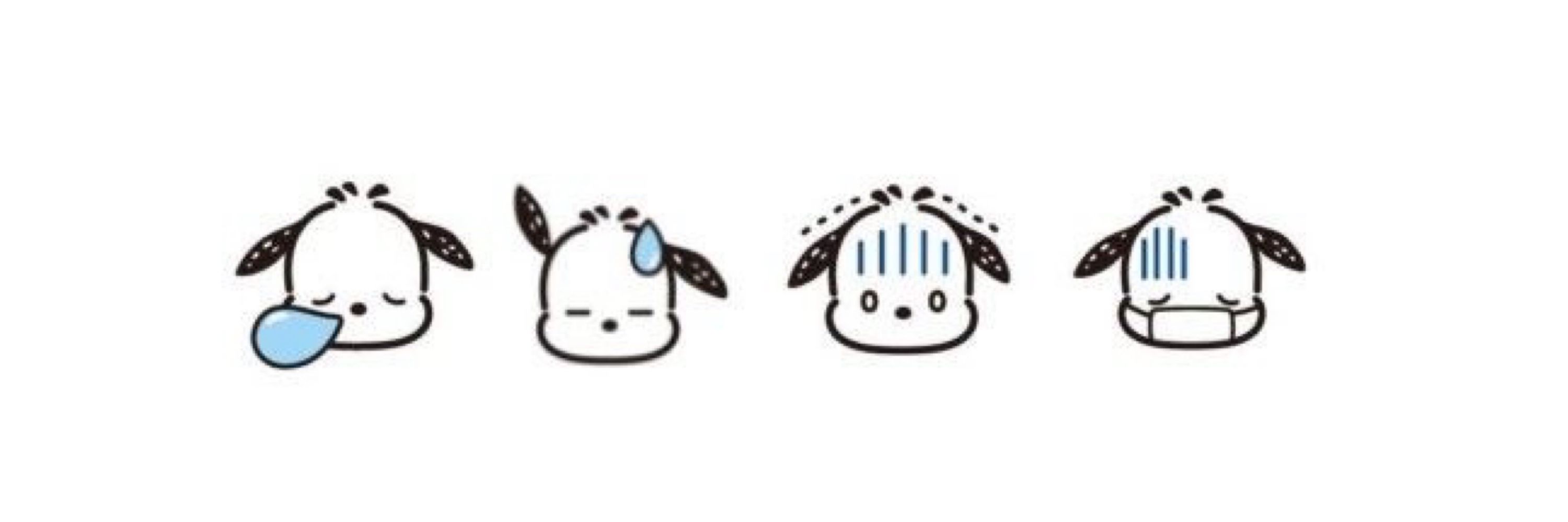 ray 🐰