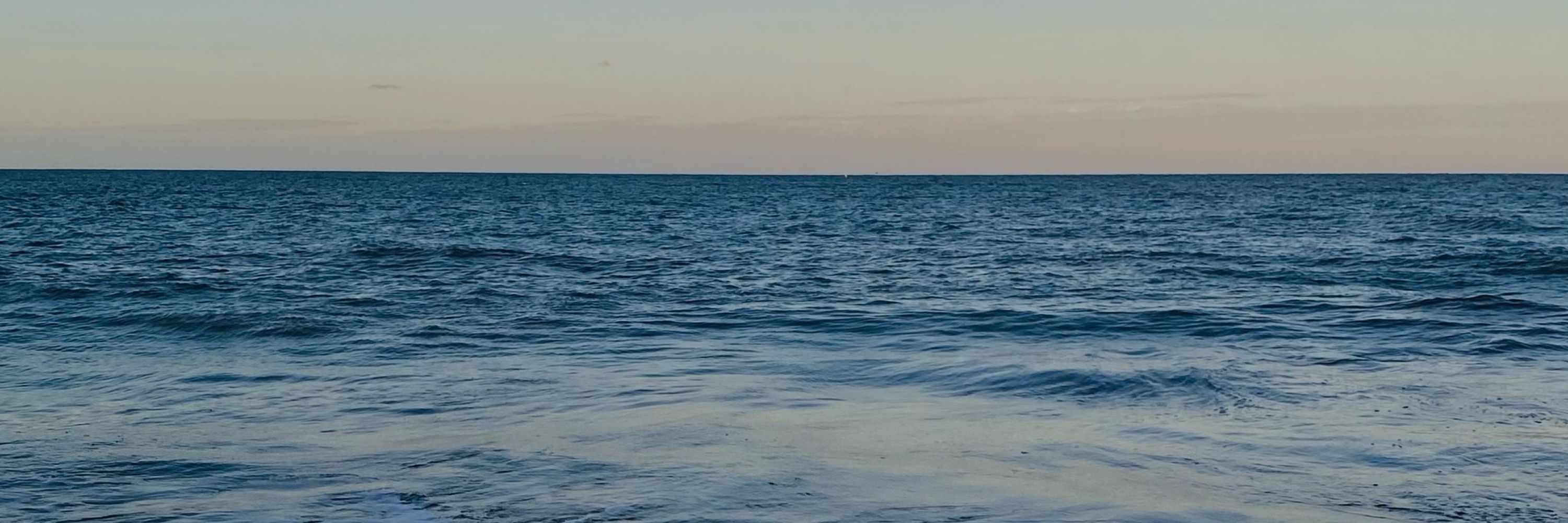 aninha🌊