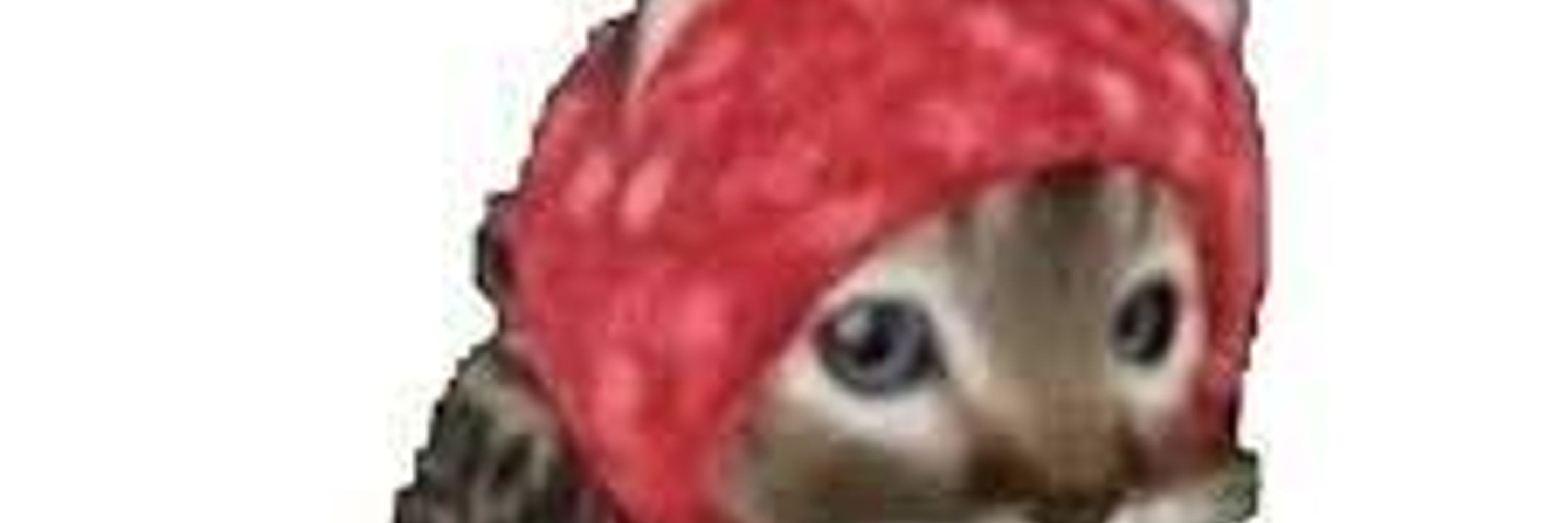 Lil Strawberrycat