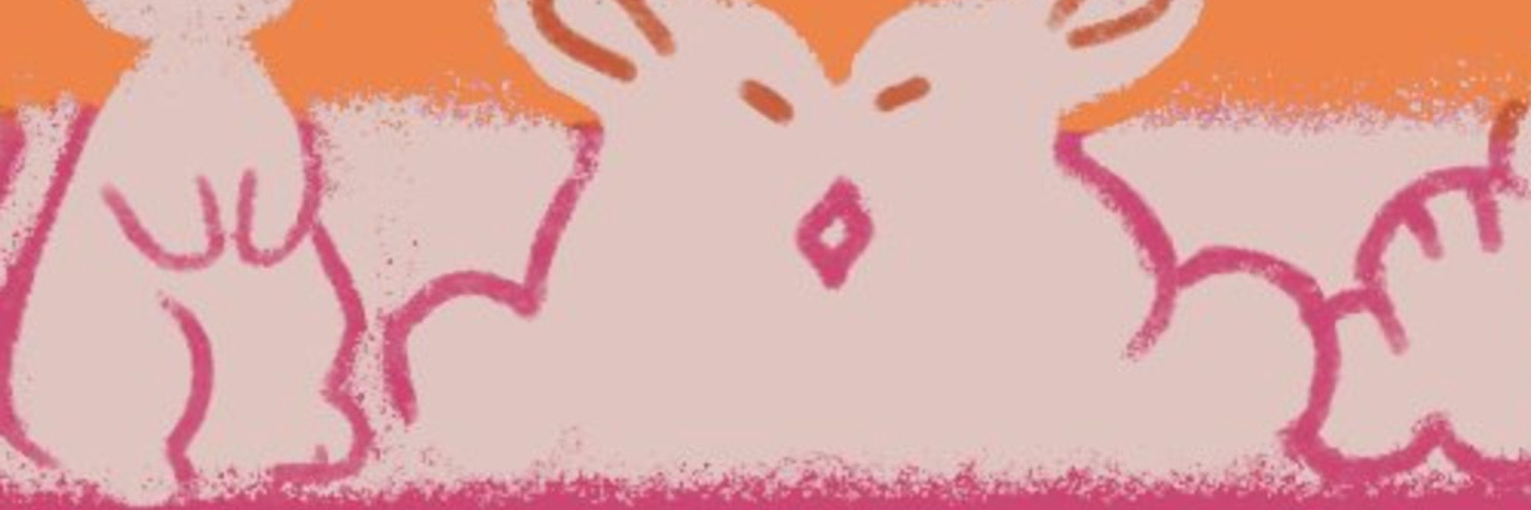 sammie | bunny