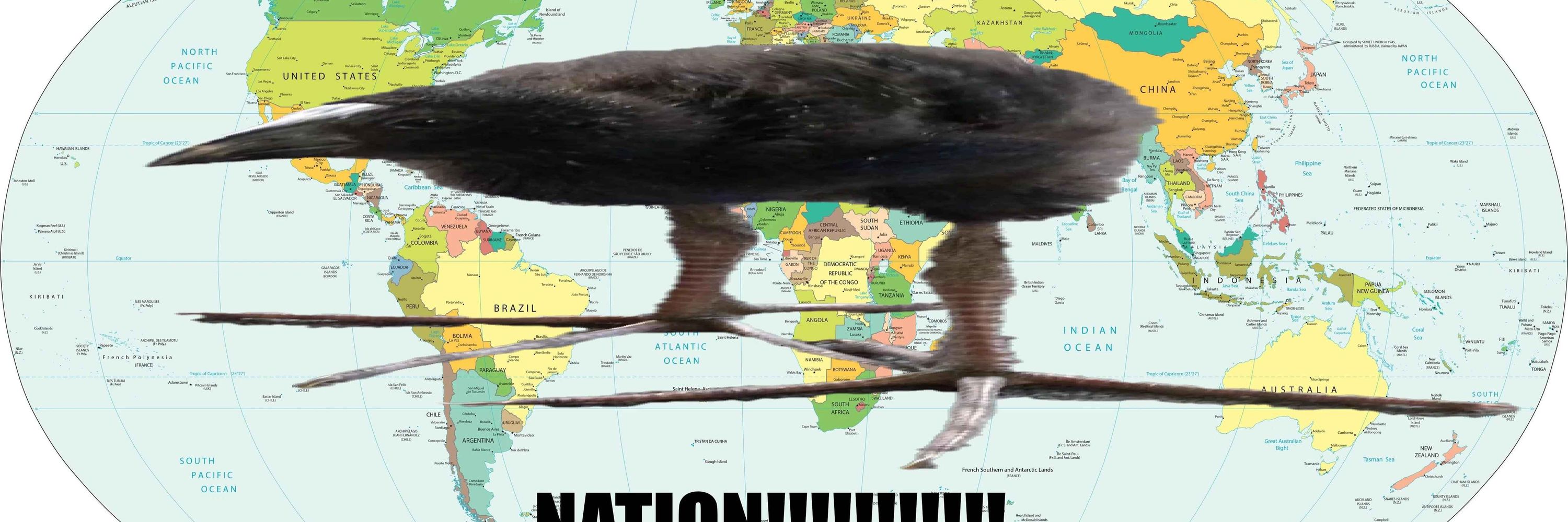 Wungus