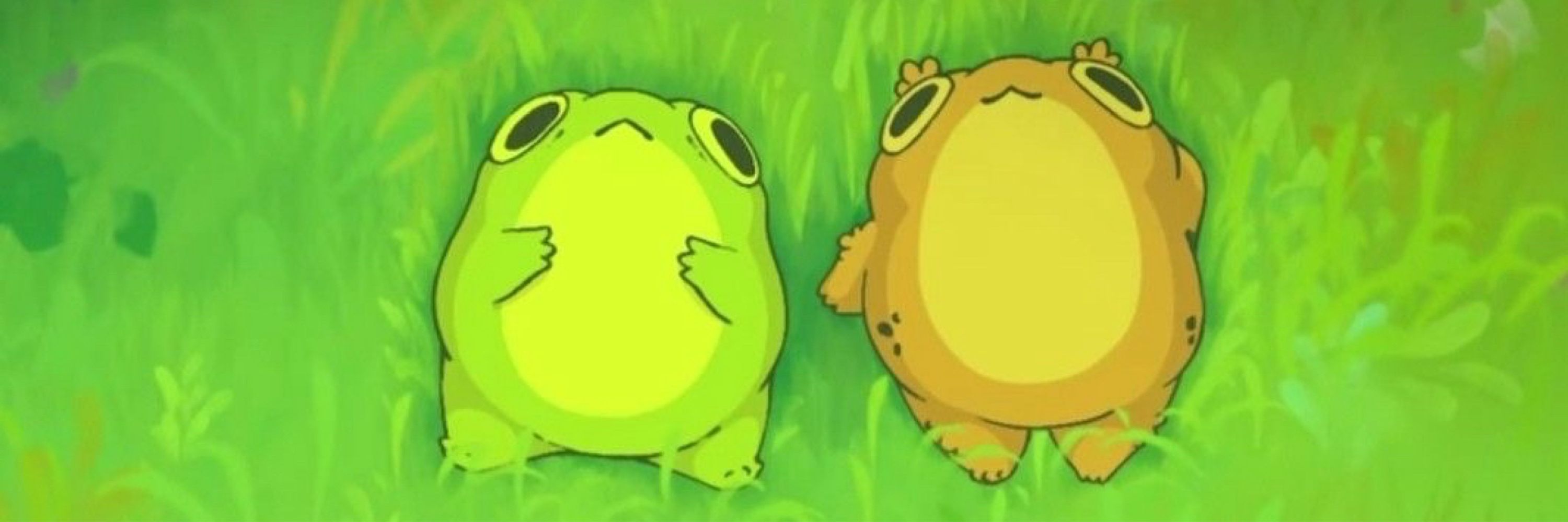Sarcastic frog lover