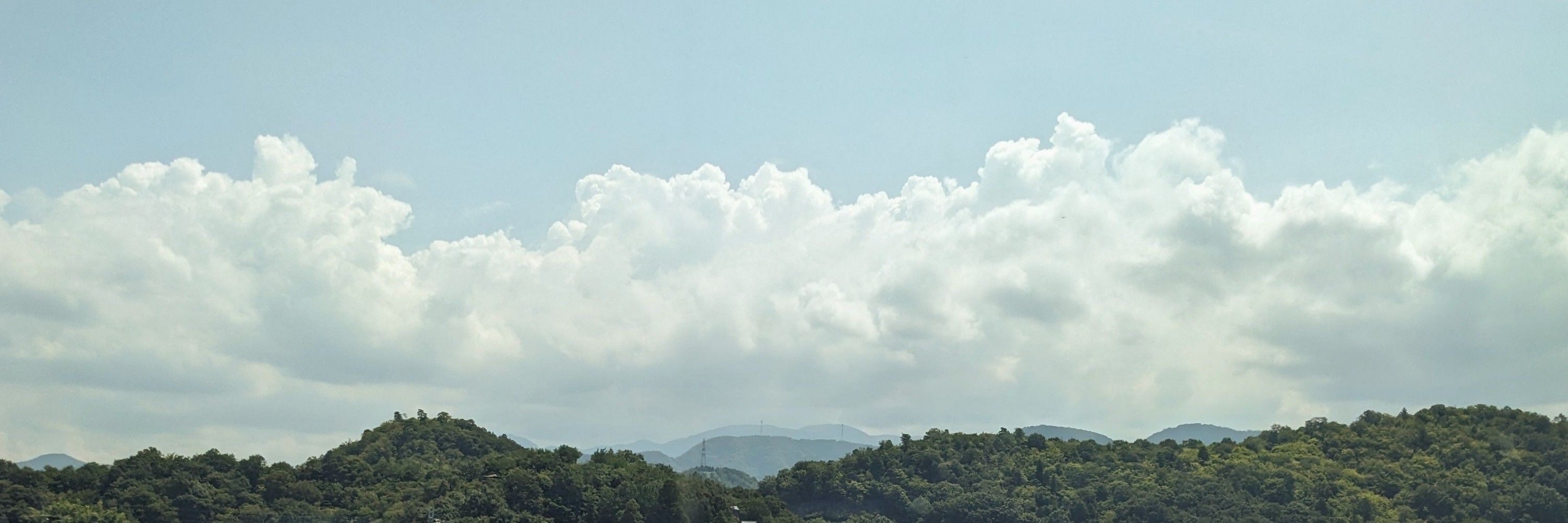 Tam