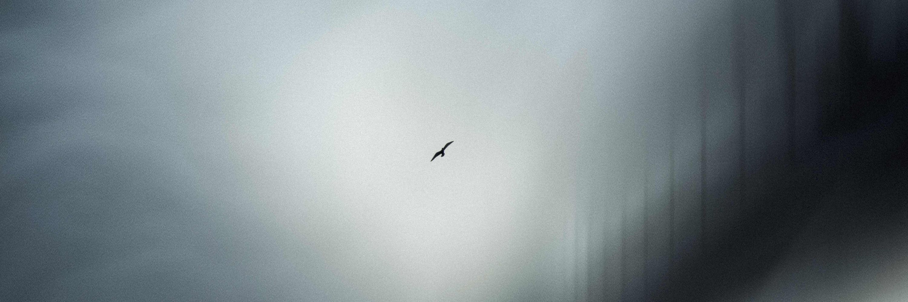 Grant Galbraith