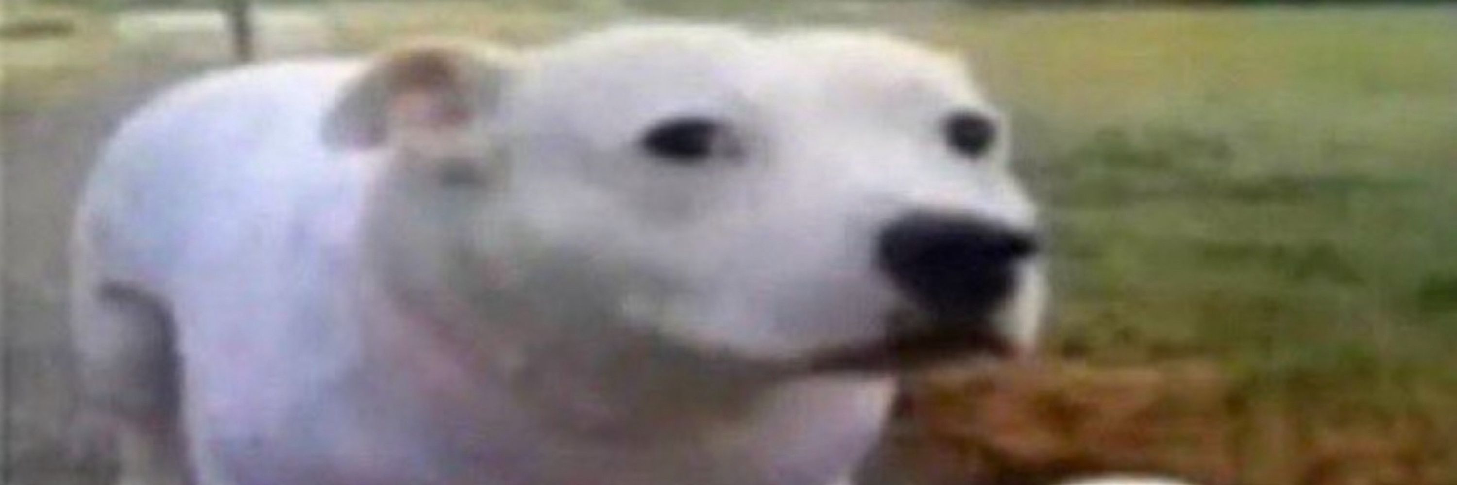 Zero
