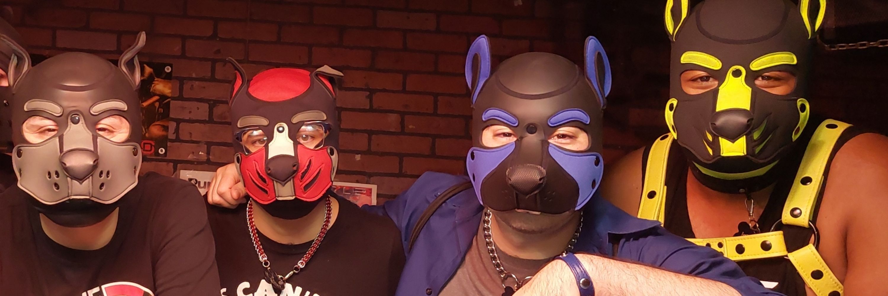Pup Rocket