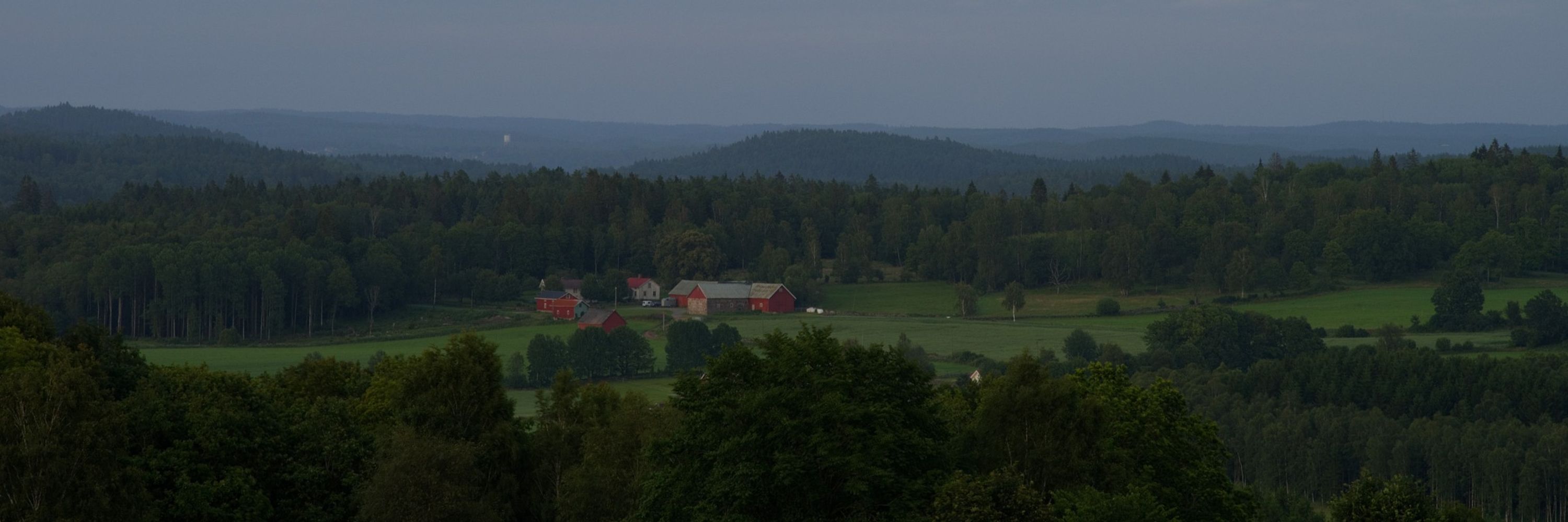 Peter Hasselbom