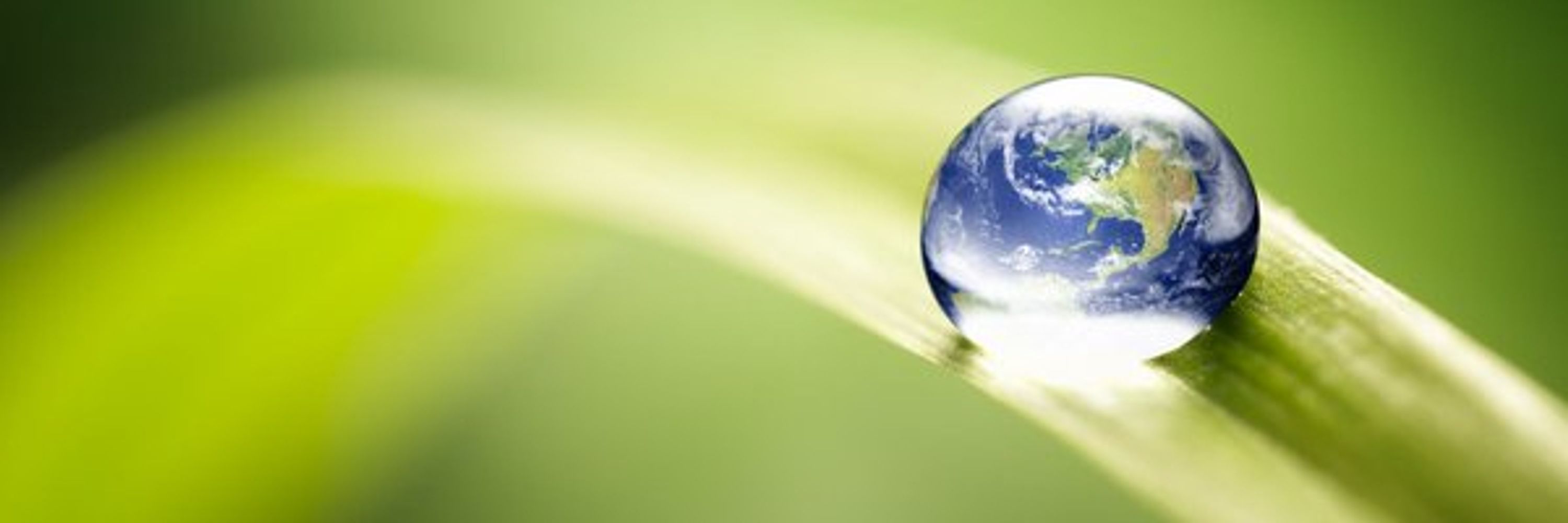 Energy and Environment Institute