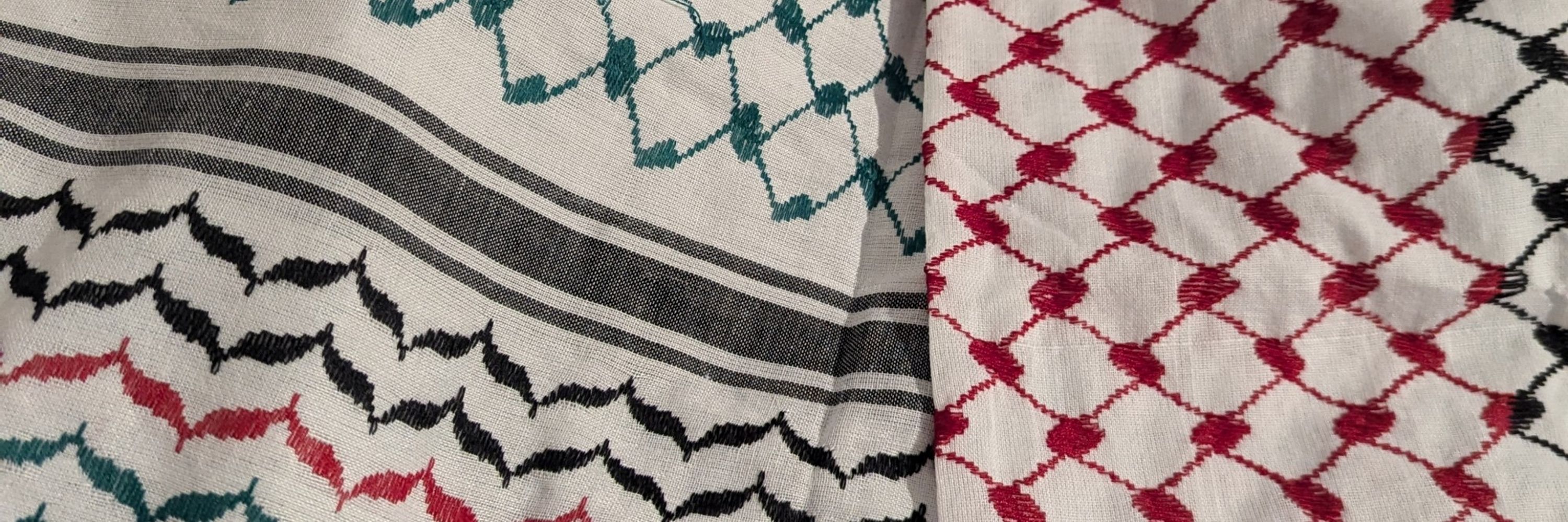 slashie101 🐈‍⬛ free 🇵🇸