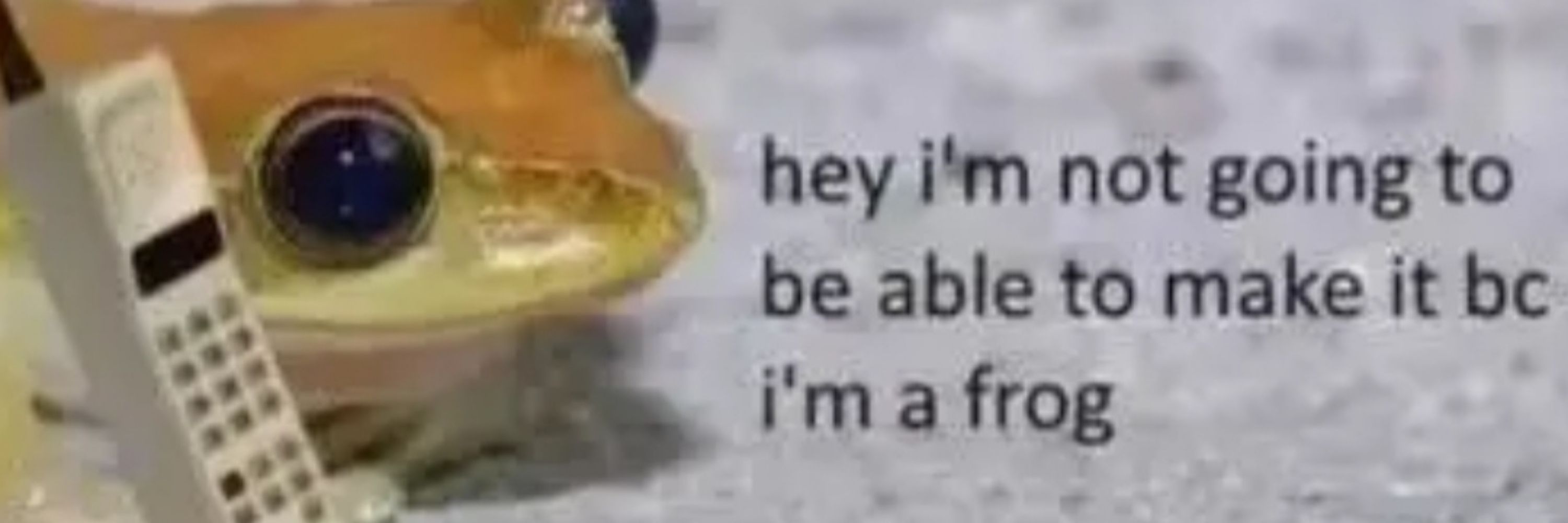 ALonelyWitch404