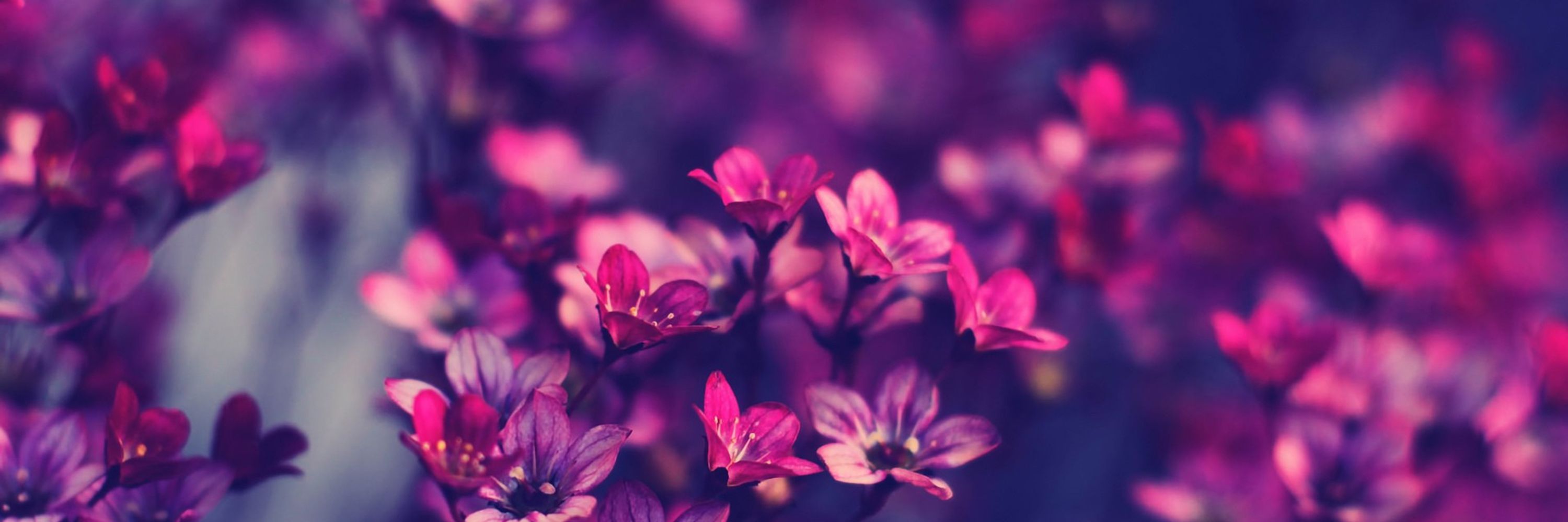 💕 💕