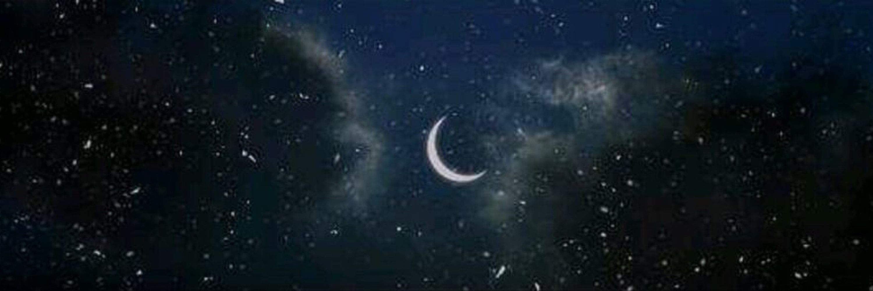 🌙
